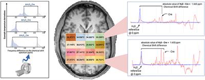 Corrigendum: Repeatability and Reproducibility of in-vivo Brain Temperature Measurements